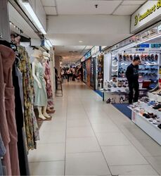 Lucky Plaza (D9), Shop House #594987211
